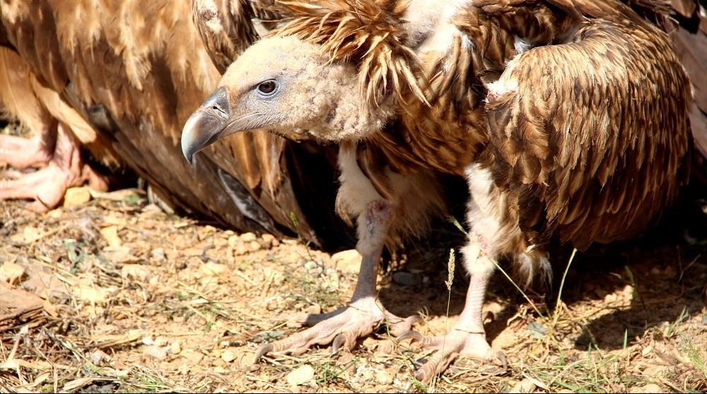 �|Ŀ�@�ģ������ƫ@�ش�Ƿ��C�����F���lΣҰ�����ﰸ