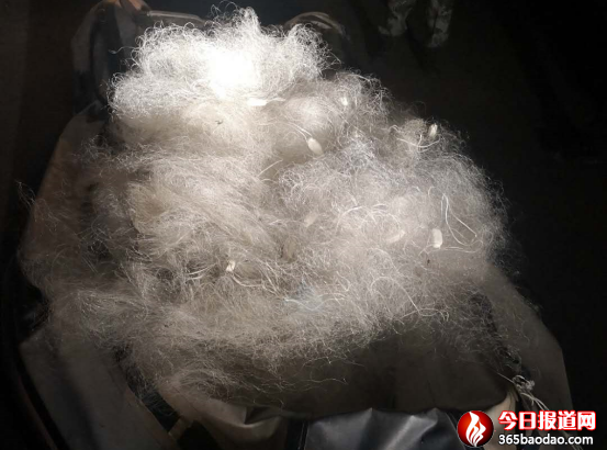 �������e�h���z���ӳ�ҹɫ͵���~ �]���¾W(w��ng)���M�˹�����31.png