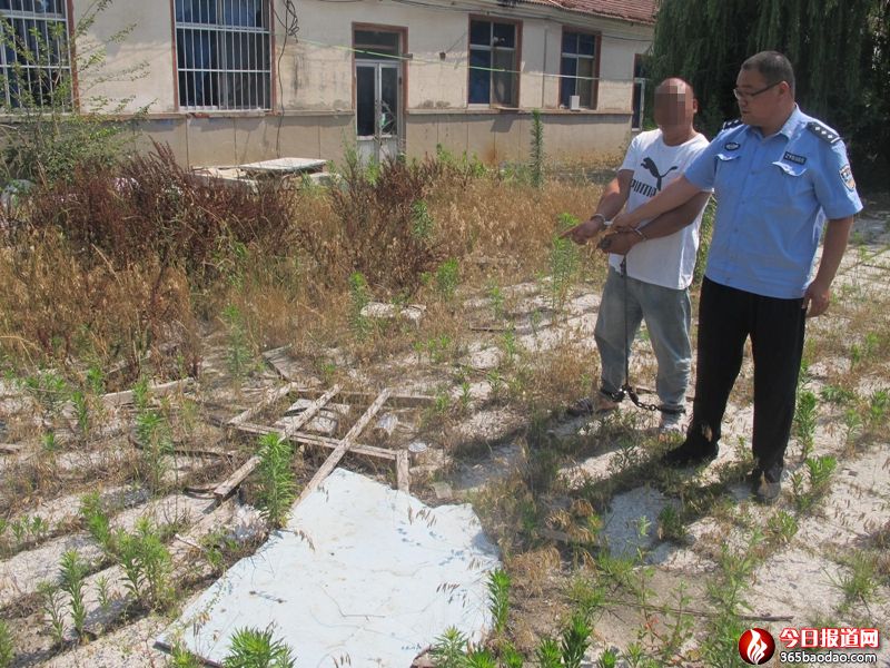  ���h�й����ֶྯ(li��n)���ƫ@ϵ�бI�`ʯ�ďS��Ʒ��