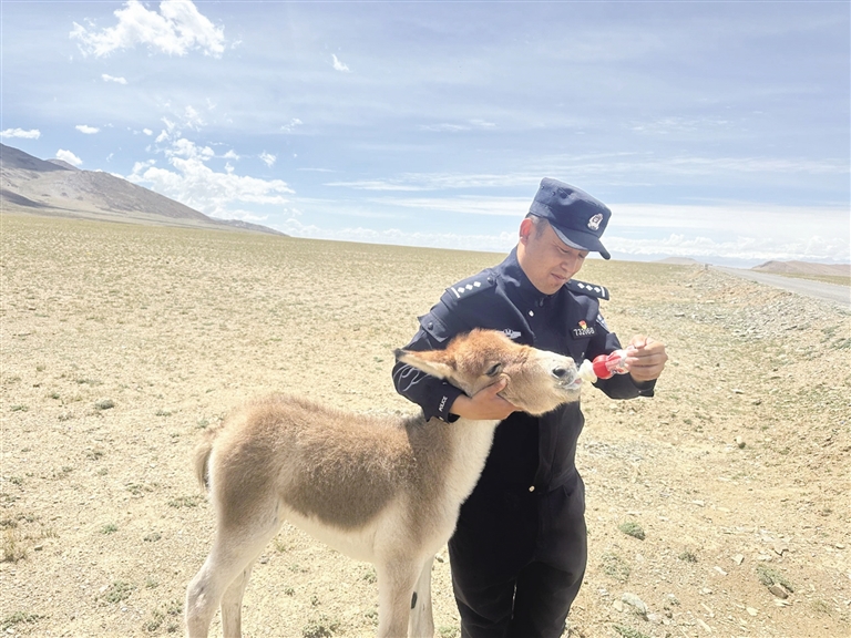 ů�������_(d��)�h�����ֳɹ�����һֻ����һ�����o(h��)����