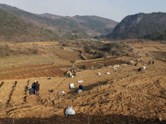 ��������������   ��˾���ַ�ؚ����ꠃɲ��`483.png