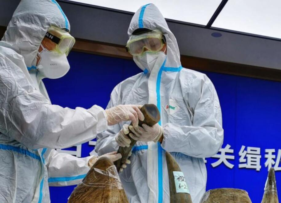 ���P(gu��n)�B��Ϭţ�������R�ɺ;G�����Ұ����(d��ng)�Ｐ����Ʒ��˽��