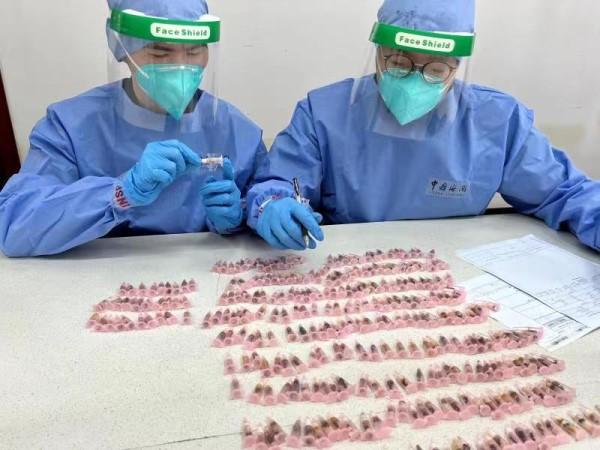 ���(b��o)�顰������ߡ��Ŀ�������Ϻ����P(gu��n)��@300ֻҰ�U�ի@ρ