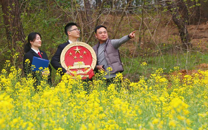 ˾������(w��)�M(j��n)�l(xi��ng)��