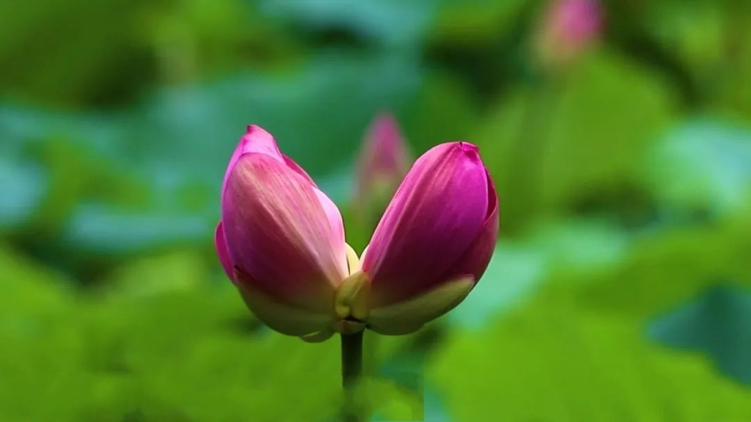 �⑍���Ͼ����������ɏ�Y������ɏ���������οͽoժ���ˣ�