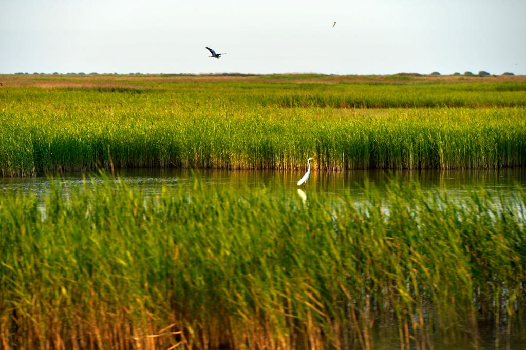 ���A�h(hu��n)�����o��2024��ӛ����ӛ�����֮�޵����B(t��i)�S׃