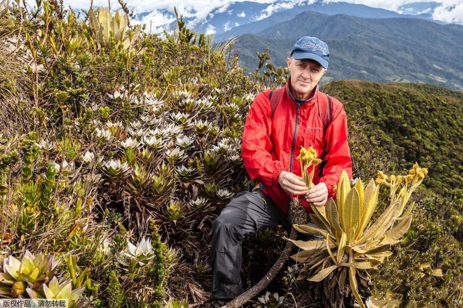 ����W���ڸ炐�ȁ��l(f��)�F(xi��n)����N ϵ�S�ֺ������ӵ��P(gu��n)�Iֲ��