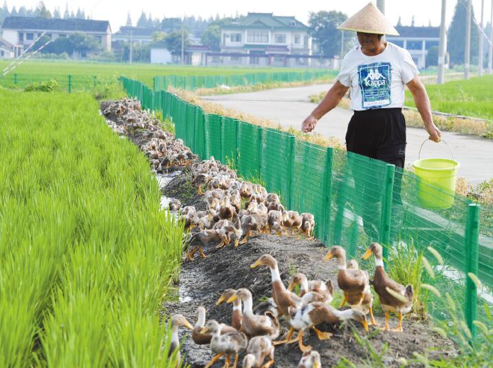 ���K̫�}�_����������������ģʽ ���B(t��i)�N�B(y��ng)Ч���