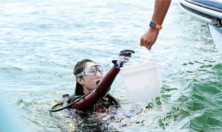 �׌�ȫ��ɺ�������چ���(d��ng)��500���J(r��n)�B(y��ng)ɺ���N��N�����i����