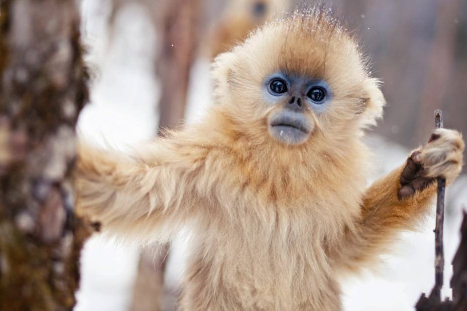 �������r�ܣ�ѩ�н�z���ȑB(t��i)ʮ�����ː�