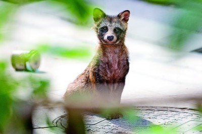 ��������������L�����Ї�(gu��)