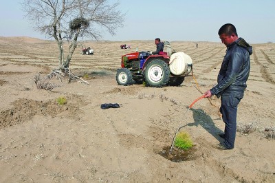 ���Sɳ���GҰ