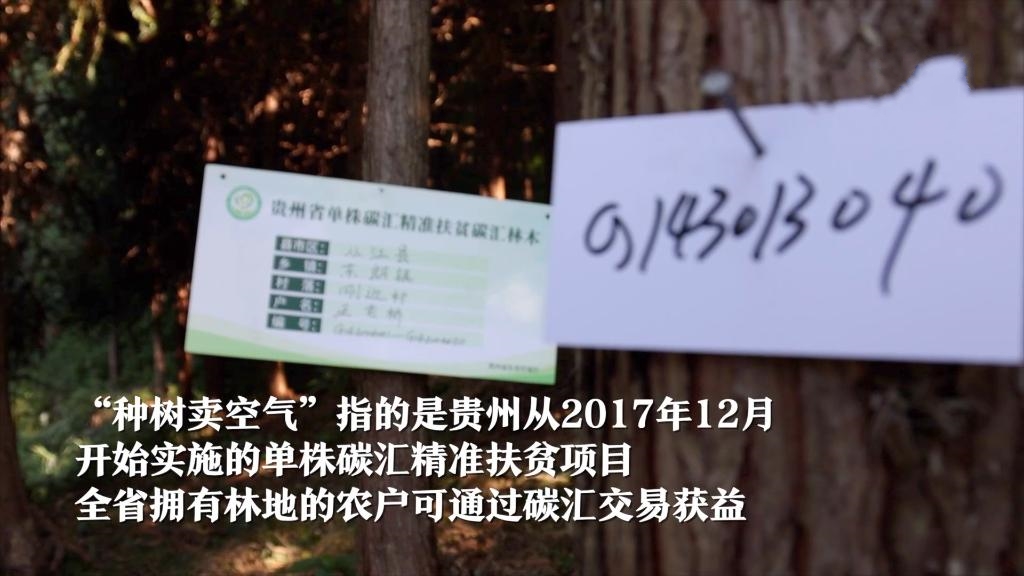 ���N��(sh��)�u(m��i)�՚⡱�����Ї�(gu��)����ɽ�^(q��)���������B(t��i)��׃��������(j��ng)��(j��)��