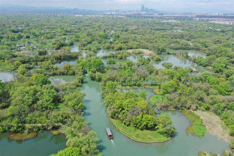 �ڡ��㡱�￴Ҋ�����Ї�