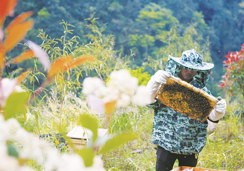 Óؚ��·�ӣ������B(y��ng)�u�������B(y��ng)�������·Nֲ