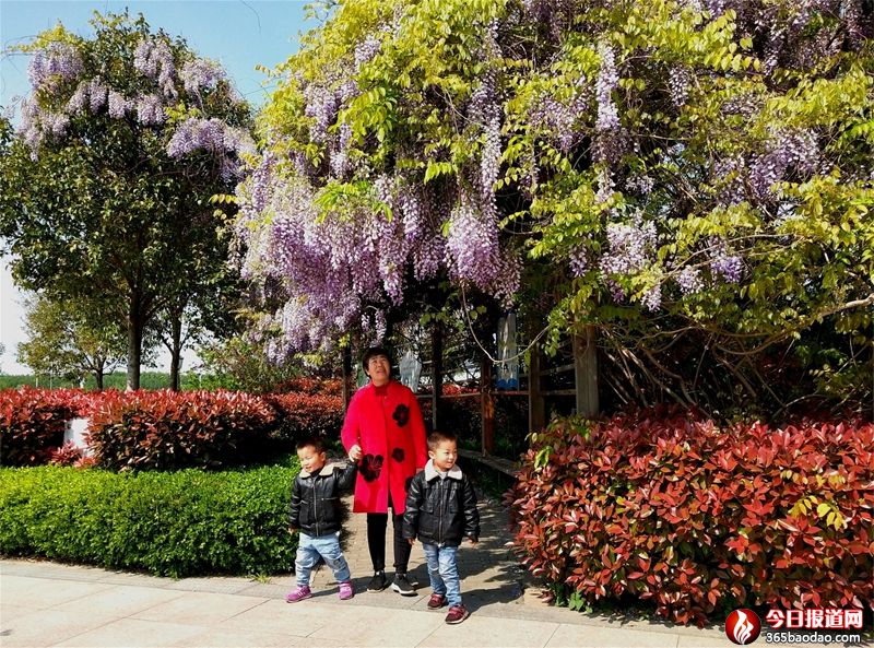  ���f�h(hu��n)���� �L���¾���