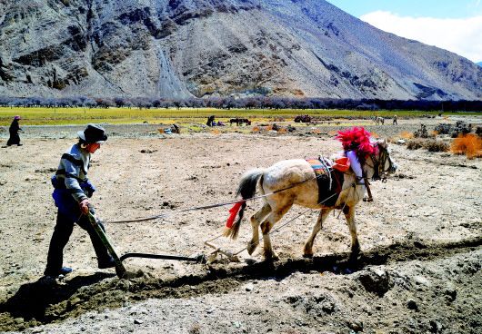 ����µġ�ɽ��֮����