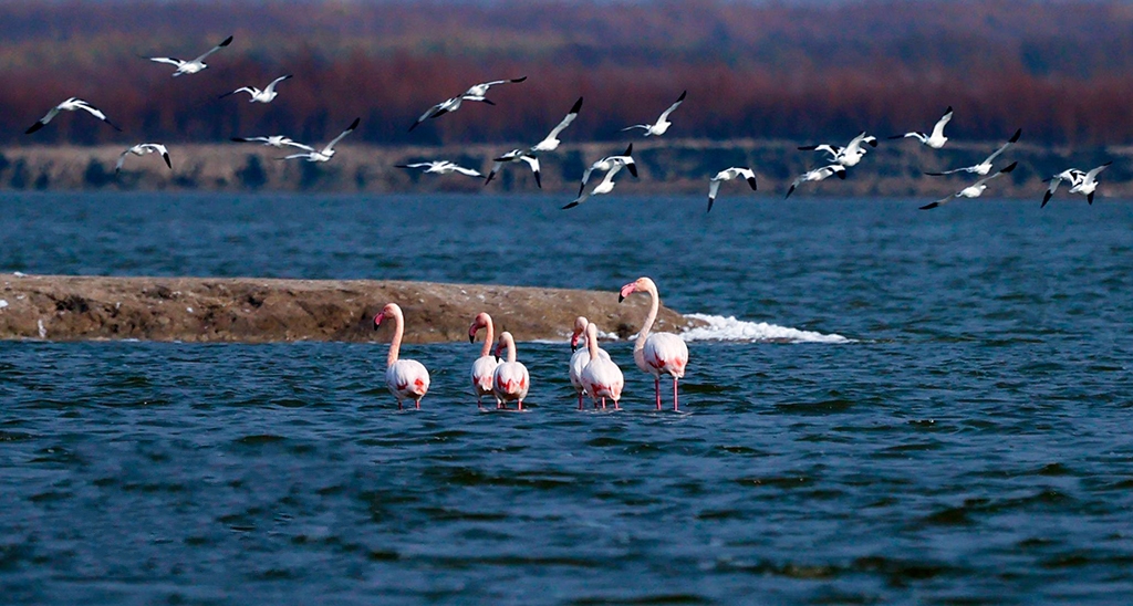 ɽ���\�ǣ������B�B�m(x��)�����}��Խ��