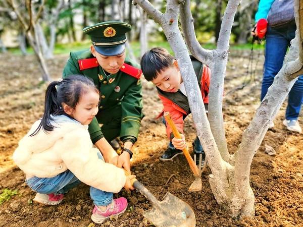 ֲ��(sh��)��(ji��)���� ����ɭ�ֹ��@�_(k��i)�������(sh��)�N�������J(r��n)�B(y��ng)