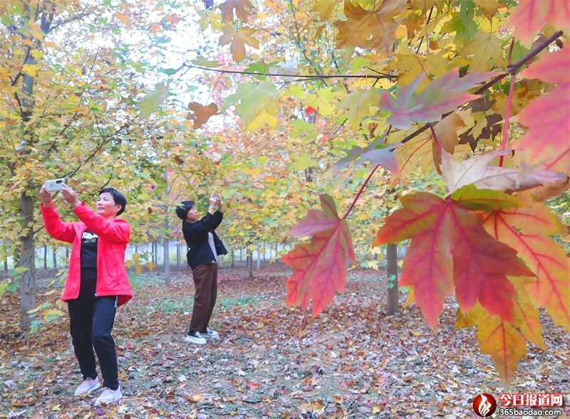 �l(xi��ng)�����(sh��)������