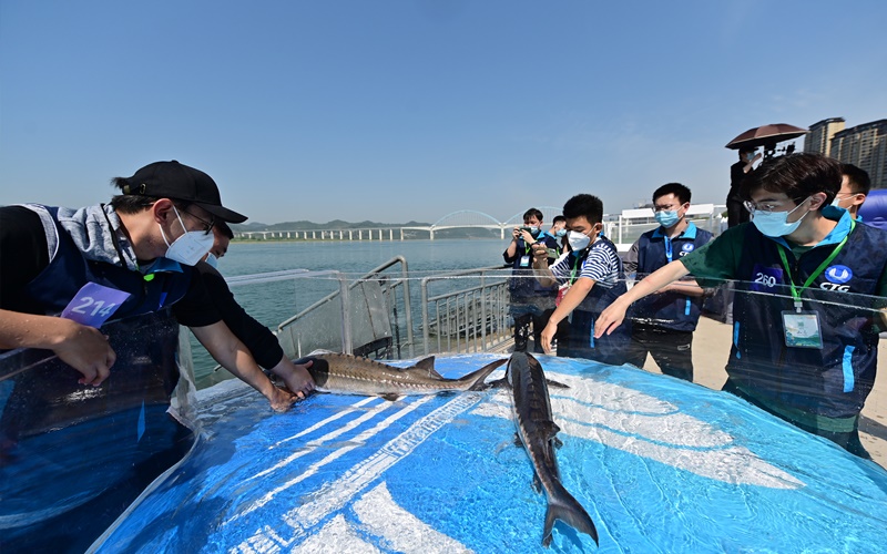 �����˲���23�fβ���A�\�Św�L��