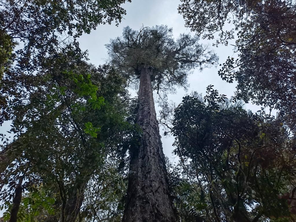 76.8��������īÓ�l(f��)�F(xi��n)�Ї�(gu��)�����֪��ߵĘ�(sh��)