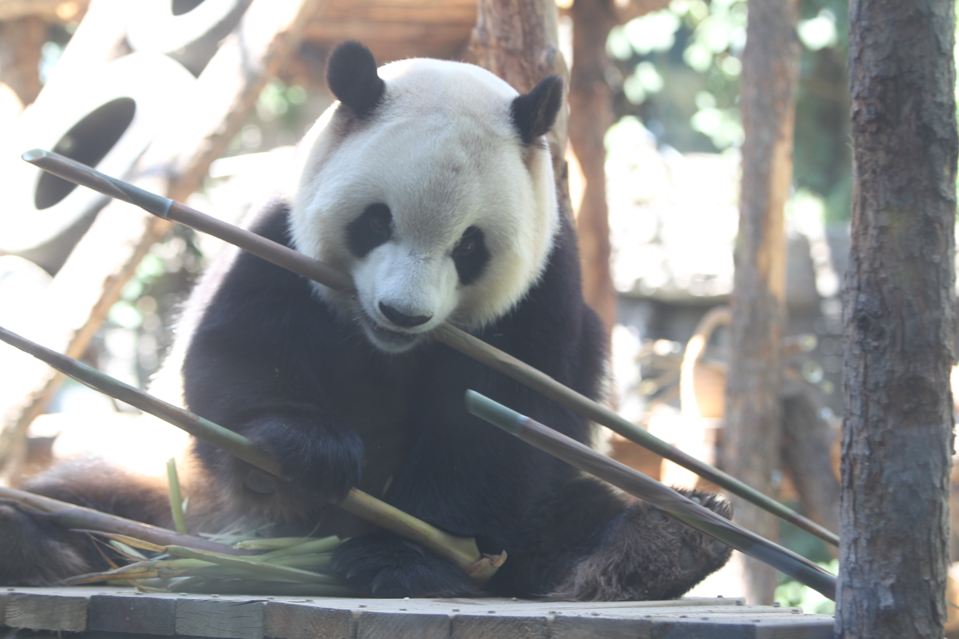 ����؈���ҹ��@˾�����o(h��)Ȧ�f(xi��)ͬ�����������M(j��n)չ��