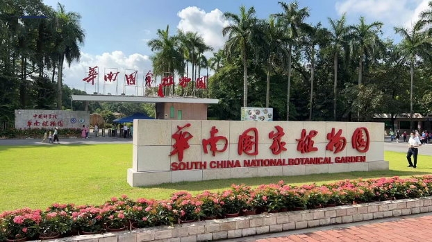 �A�χ���ֲ��@������Ƴ���