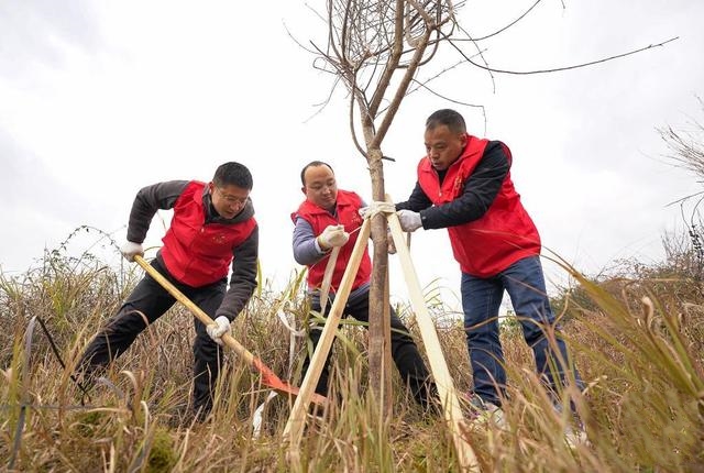 �F�ݣ��x��(w��)ֲ��������G