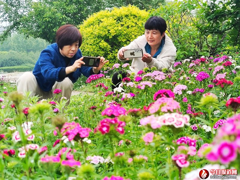 �l(xi��ng)�廨�M(m��n)�@ ����Ҋ(ji��n)����