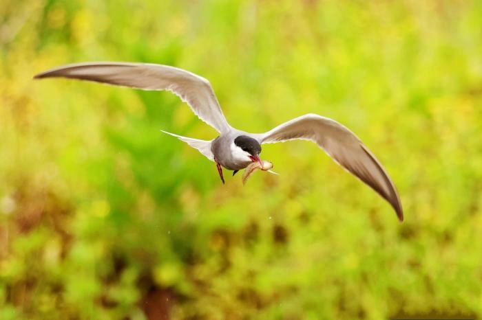 ��(gu��)�ҡ����С����o(h��)��(d��ng)��횸��t�F(xi��n)���������T