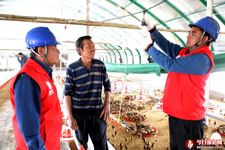 ���W(w��ng)�R�Կh��늹�˾���M(j��n)����}������ɫ�B(y��ng)ֳ