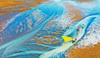 ���m(x��)�ƏV���B(t��i)�����B(y��ng)ֳģʽ �Ƅ�(d��ng)�O�I(y��)�����l(f��)չ