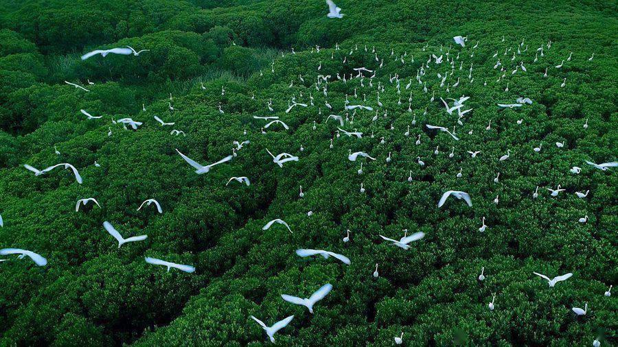 ���^�������Ľ��ڼt���ֳɺ��B����Ϣ���á�