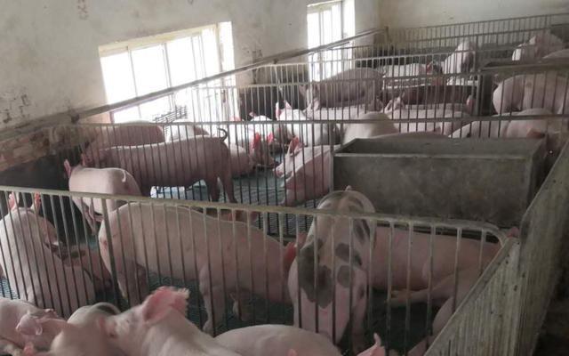 �������i���ڡ����׺Εr�Y(ji��)�������ҷQ����r���硱