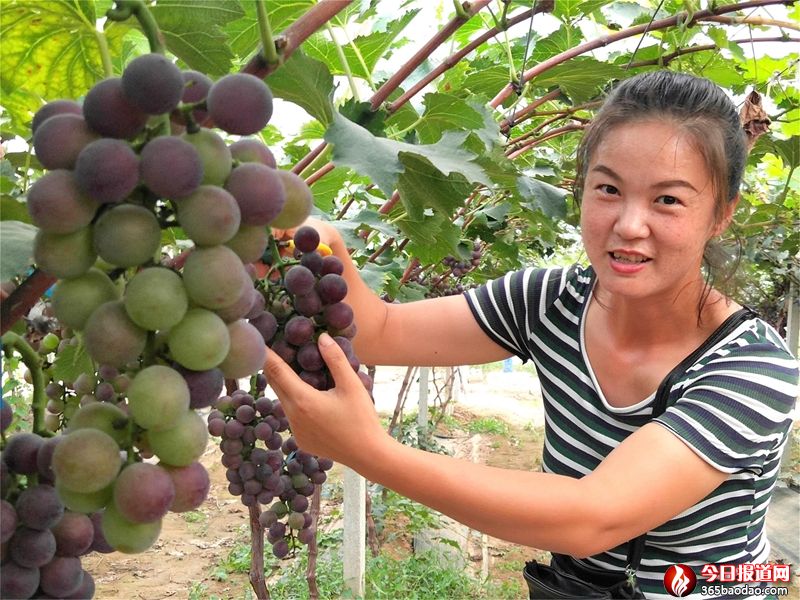 ɽ�|۰�ǣ����ѽ����N�B(y��ng)ģʽ���¾�������