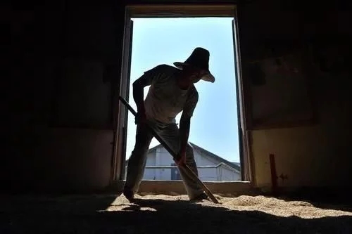 �Z��(k��)�Zʳ�д����x�ۣ�������(l��i)��