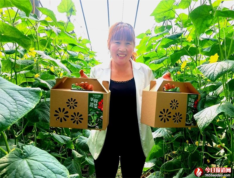  ۰�ǣ�����ؚ����f(w��n)�����r�߲˹����p��(ji��)���Ј�(ch��ng)