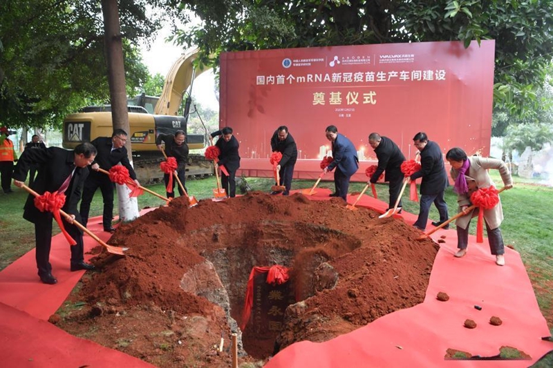 �Ї��ׂ�(g��)mRNA�¹��������a(ch��n)܇�g��� һ�ڿ���a(ch��n)1.2�|��