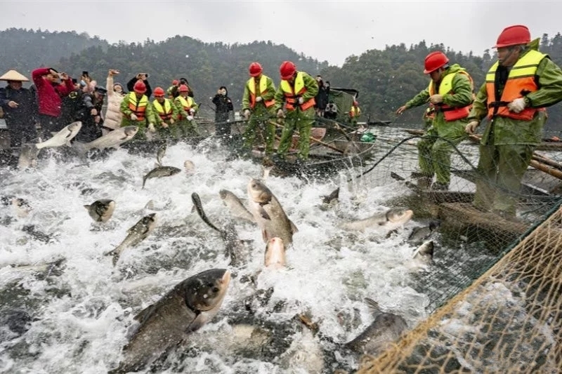 �RҊ���ࣺ����޾W(w��ng)�ײ� ���~��10�f��