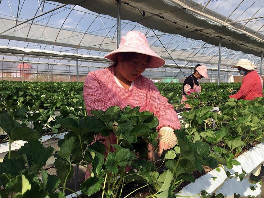 �����ɼң���ݮ�������ۮa�I(y��)�