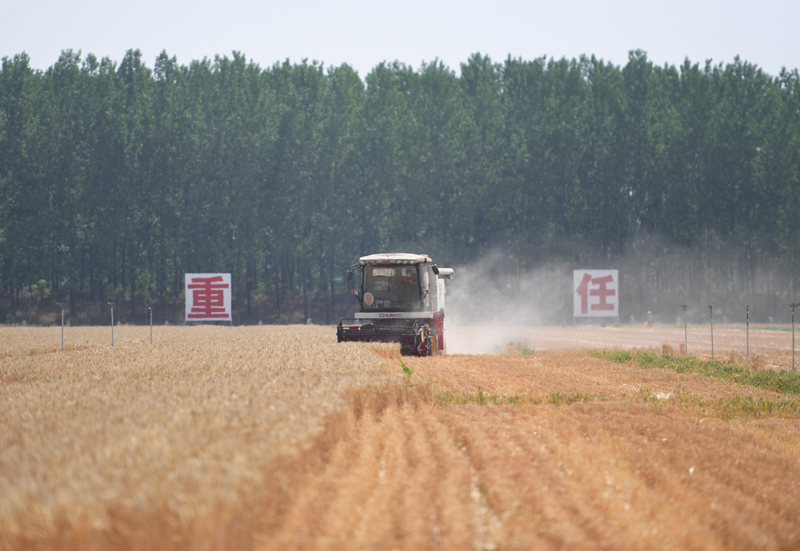 �����ϲ̣���?zh��n)Օr��(ji��)��ء���