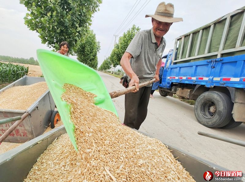    ���^�����F(xi��n)���Zʳ׃�X