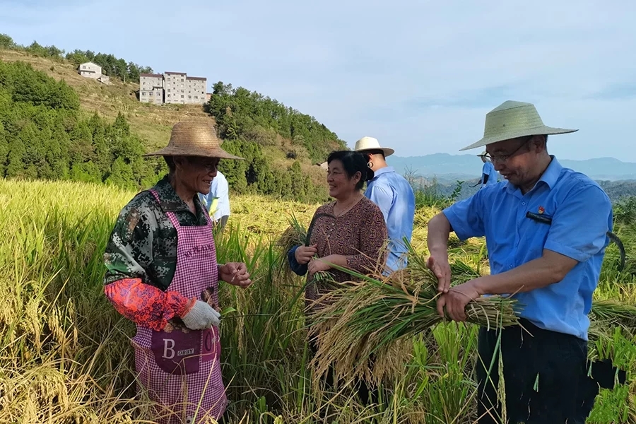 ���Dֱ�����ؑcȫ������������ �_����Z���w���w�}(c��ng)��