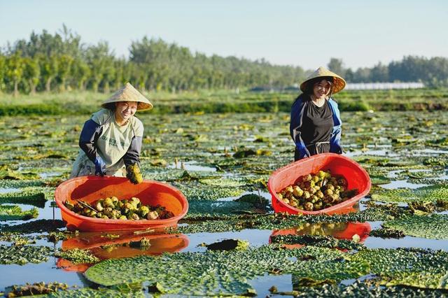 ���K��ꖣ�СС�͌��� �r(n��ng)���¸�����