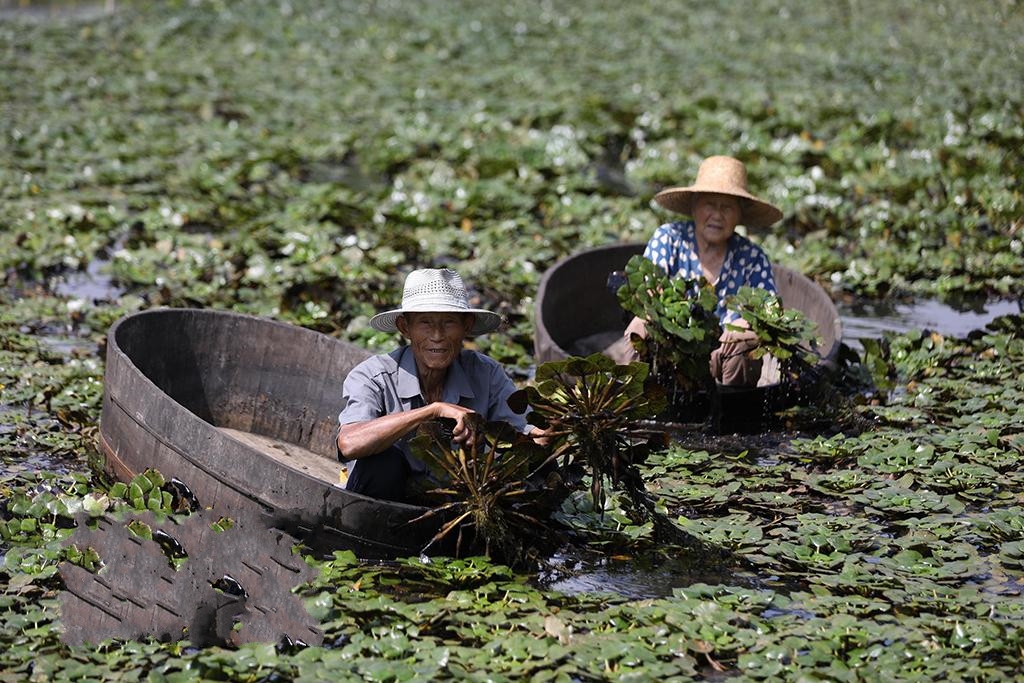 �㽭�L�d��ˮ�l(xi��ng)����æ