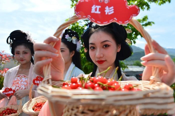 ɽ�|���u��������������һ֦����������