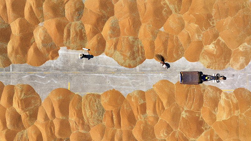 С��?zh��n)ի@ �w���w�}