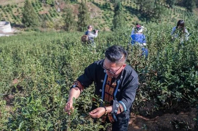 2024���F�ݾG�衰ǭ�X�_(k��i)�輾������(d��ng)