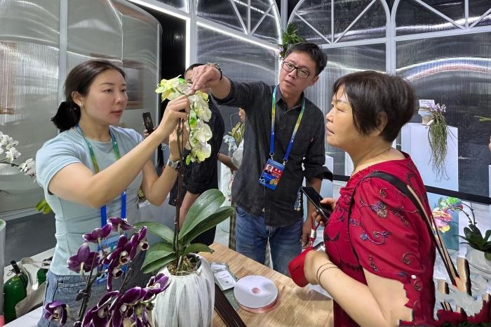 �_(t��i)�����ܘI(y��)�߅��ӳɶ����@��(hu��) �����Ӄɰ��a(ch��n)�I(y��)����